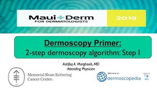 2Step Dermoscopy Algorithm Step 1 [upl. by Nedyrb]