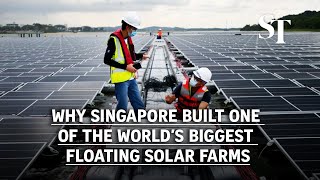 Why Singapore built one of the world’s biggest floating solar farms [upl. by Changaris]