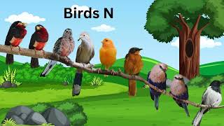 Learn Birds Name  Birds Name in English  Kids Vocabulary  Basic Learning of Kids [upl. by Aihsik]