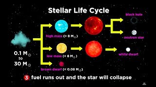 The Life and Death of Stars White Dwarfs Supernovae Neutron Stars and Black Holes [upl. by Ijuy]