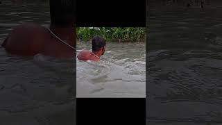 Asian Country Fishing shorts  Amazing Rural Fishing Video 🐟 Best Asian Fishing Technique shorts [upl. by Fallon]