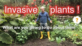 What plants are taking over your garden What is the best way to control invasive plants [upl. by Kamilah]