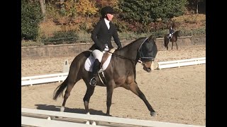 Jessica and Derby ESDCTA 2024 First Test 2 [upl. by Nomae]