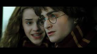 The First Task Part 2  Harry Potter and the Goblet of Fire [upl. by Courtund]