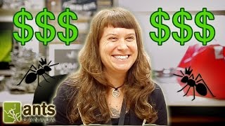 How Much Money Does an Ant Scientist Make ft Dr Corrie Moreau [upl. by Zigmund]