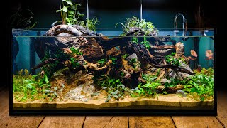 Perfecting the Low Tech Fish Tank in DIY IKEA Aquarium [upl. by Robbie]