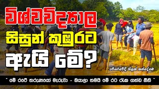 quot කුඹුරට බැහැපු විශ්වවිද්‍යාල සිසුන් quot  University students to the field ThilakKandegama [upl. by Nordek]