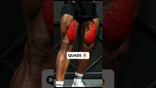 Top Quad Workout for Beginners  Get started the Right Way [upl. by Barra]