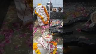 भगवान शिव की आराधना के लिए रूद्र अभिषेक करवायाॐ नमः शिवायनमः पार्वती पतये हर हर महादेव bholenath [upl. by Euqinomad]