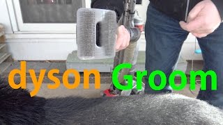 Grooming a German Shepherd with Dyson Groom [upl. by Misaq]