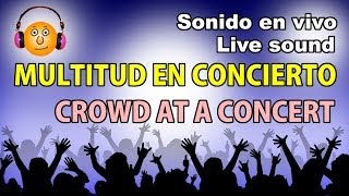 Gente gritando en un conciertoSonidoPeople screaming at a concert [upl. by Amandy]