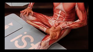 Peroneus Fibularis Longus LEG Stretch for All sitting – iStretch [upl. by Gal888]