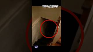 VIDEO ATERRADOR miedo meme scary shortfilm mistery scream viral shorts [upl. by Karna612]