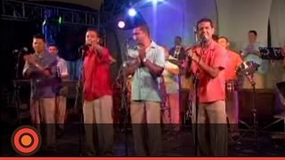 Grupo Galé  Como Duele Llorar Live [upl. by Aihseuqram]