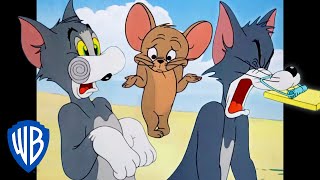 Tom und Jerry auf Deutsch  Tom muss leiden 💥  WB Kids [upl. by Rooney288]