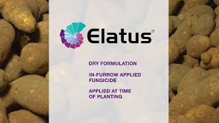 Protect Potatoes with Elatus Fungicide [upl. by Titos]