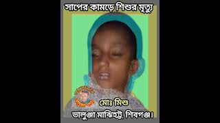 সাপের কামড়ে মিশু নামের এক শিক্ষার্থীর মৃত্যু ঘটনাটি শিবগঞ্জের মাঝিহট্ট ভালুঞ্জা গ্রামে [upl. by Vieva152]