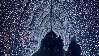 Christmas Lights Display at Kew Gardens London Full Trail [upl. by Gruver111]