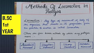 Methods of locomotion in Protozoa  Locomotion in Protozoa  AmoeboidCiliary FlagellarMetabolic [upl. by Assirrac966]