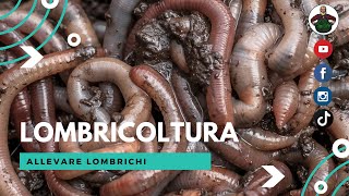 Come Allevare Lombrichi  Lombricoltura  Vermicompost  Vermicomposta  Lombricompostiera [upl. by Avram]