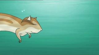 1  Guffer Fish The Adventures of Cippi [upl. by Ahcsrop]