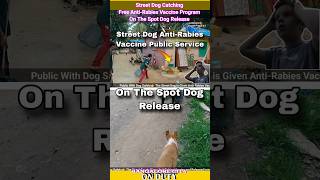 On The Spot Dog Release । Upcoming Trailer dog shorts release pets [upl. by Aleece]