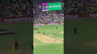 cricketlover shorts shortvideo shortsfeed share shortsvideo [upl. by Nylkoorb689]