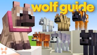 ULTIMATE MINECRAFT 121 DOG GUIDE  Secret Locations How To Find Dog Armor amp More [upl. by Hartzke]