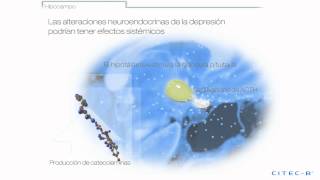 La depresión en Atención Primaria  Fisiopatología [upl. by Faruq]