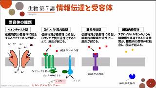 【高校生物】第7講「情報伝達と受容体」 [upl. by Lyrahc611]