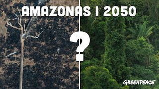 Er det slik regnskogen i Amazonas ser ut om 30 år [upl. by Enelez]