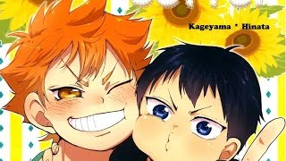 Kagehina Doujinshi  A Little Setter English [upl. by Anaul]