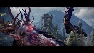 The Witcher 3 Wild Hunt OST  The Fields of Ard Skellig Extended [upl. by Fiske]