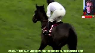 Constitution Hill wins at Kempton 12 26 2023 Horse Racing RESULTS Bet [upl. by Zsa]