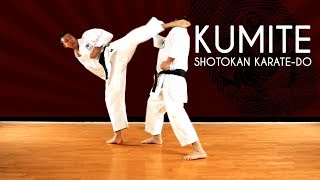 Fighting montage  Shotokan KarateDo JKA [upl. by Noit93]