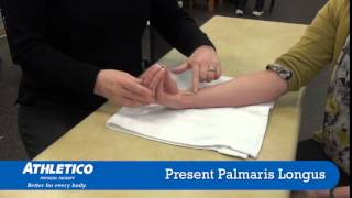 What is a Palmaris Longus [upl. by Leumek]