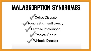 Malabsorption Syndromes [upl. by Salmon875]