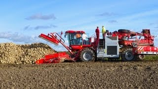 Holmer Terra Felis 2  Demo suikerbieten laden en nareinigen [upl. by Hooke]