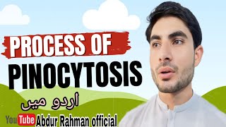 steps and process of pinocytosis in urduhindi by abdur Rahman official [upl. by Toni]