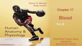 Anatomy and Physiology Chapter 17 Part B lecture Blood [upl. by Duval]