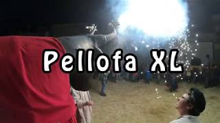 Pellofa 40 Reina de Mataró [upl. by Sitof574]