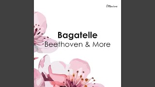 Beethoven 11 Bagatelles Op 119 2 Andante con moto [upl. by Yanttirb]