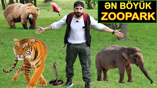 DÜNYANIN ƏN BÖYÜK ZOOPARKINA GETDİM  GÖRMƏDİYİM HEYVANLAR [upl. by Johanna486]