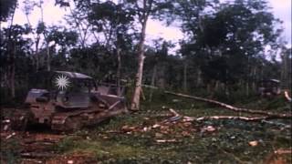 Bulldozers and Rome plows clear the vegetation in Hon Don Forest in Bein Hoa SouHD Stock Footage [upl. by Losyram70]