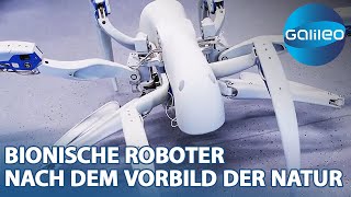 Bionische Helfer Die Zukunft der Robotertechnologie inspiriert durch die Natur [upl. by Janiuszck]