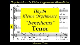 Haydn  Kleine Orgelmesse  Hob XXII7  Benedictus  Tenor [upl. by Tana]