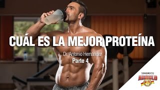 ¿QUÉ DEFINE QUE UNA PROTEÍNA SEA BUENA  Dr Antonio Hernández [upl. by Haridan498]