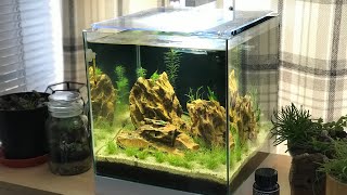 ciano nexus pure 25 aquarium 22 litre review Pump WARNING Please watch before you buy [upl. by Oys]