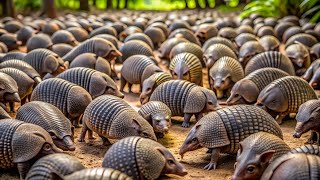 AMAZÔNIA OCULTA OS HABITANTES ESQUECIDOS DO PARAÍSO VERDE  DOCUMENTÁRIO INÉDITO [upl. by Ahsitak]