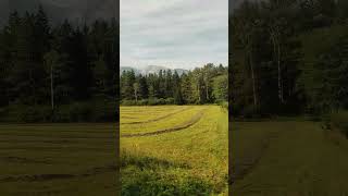 Foothills of the Alps From Upper Austria to Styria alps travel nature relax shorts [upl. by Nanreik]